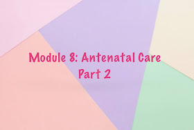 Antenatal care pathway NHS rcog pregnancy care birth plan