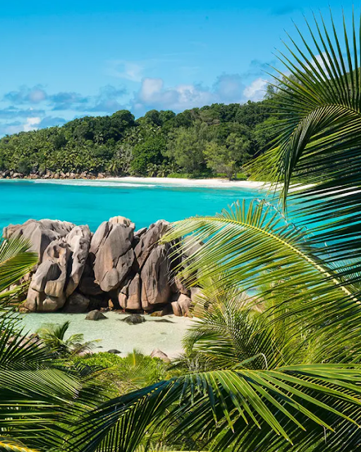 Digue Island, the Seychelles photo #4