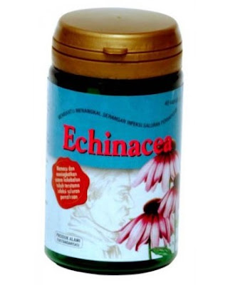 Harga Echinacea Sidomuncul Terbaru 2017