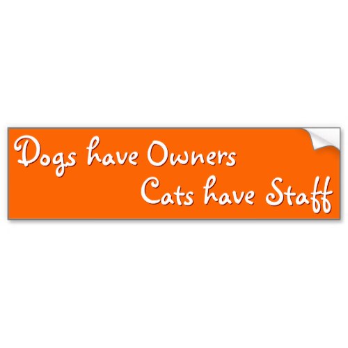 Dogs 've Owners Cats 've Staff | Funny Bumper Sticker