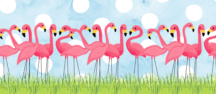 Lawn Flamingos Facebook Cover