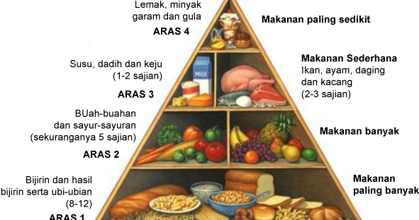 Keperluan Manusia Piramid Makanan