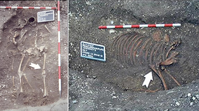 Η συνδυασμένη ταφή ανθρώπου-ζώου που ανακαλύφθηκε στην περιοχή. [Credit: D. Hagmann et al, Journal of Archaeological Science: (2024)]
