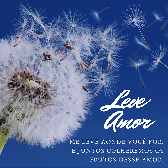 LEVE AMOR, me leve aonde você for