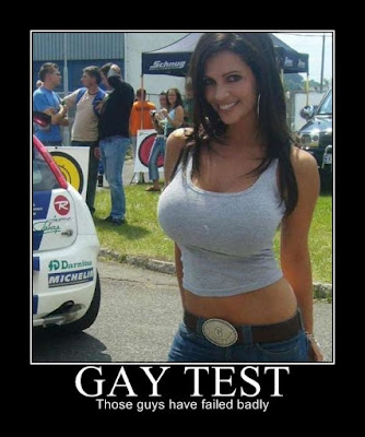 Gay Test