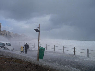 fenomena cappuccino coast