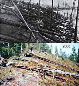 Tunguska 1908-2008