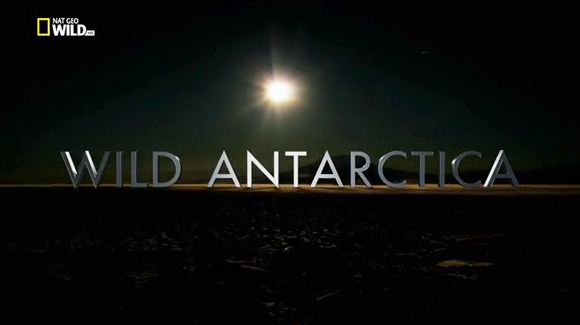 National Geographic: Wild Antarctica