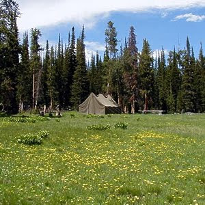 Hidup ala koboi di Triple Peak Cow Camp, Wyoming, Amerika Serikat - www.jurukunci.net