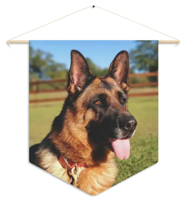 Pennant With West Show Line Black and Red German Shepherd Sloppy Sitting Leaving Tongue Out on the Grass