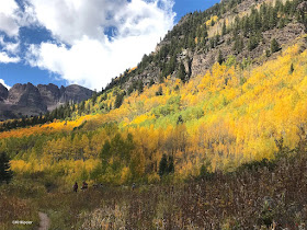 Aspens in color, Rocky Mountains