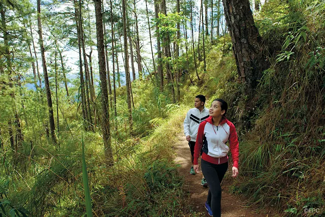 Hiking and forest bathing in Baguio