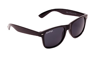 Spaceflight Wayfarer sunglasses