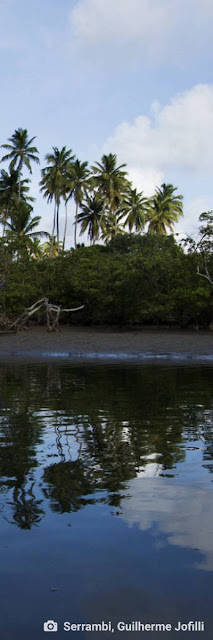 ecologia porto do capim rio ipojuca poesia juca pontes ambiente de leitura carlos romero natureza 