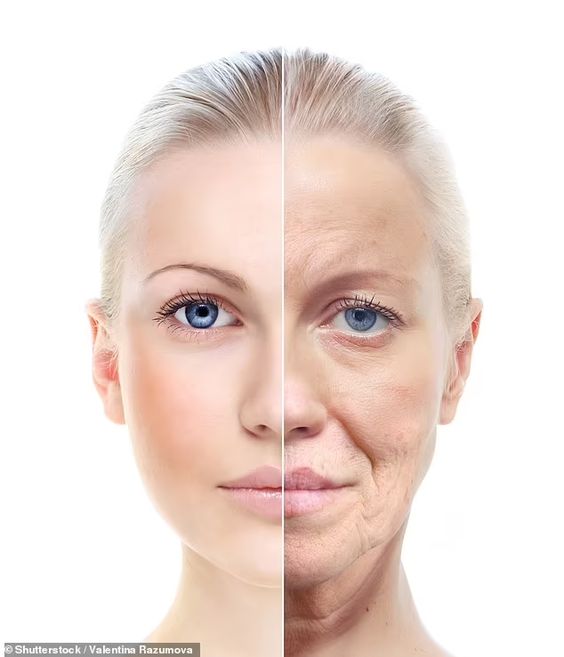 Top 5 Anti-Aging Secrets for Youthful Skin