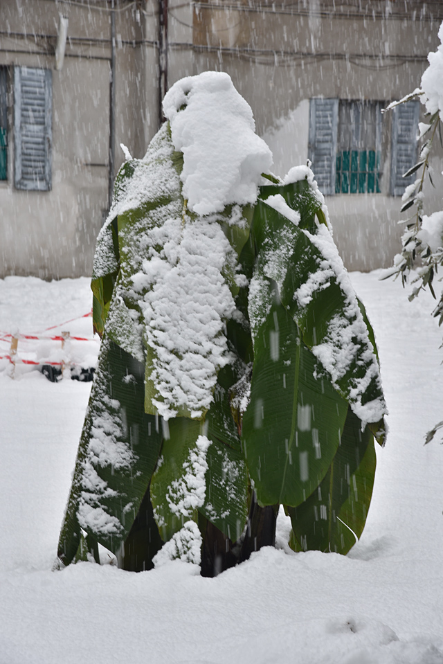 Neve a Milano