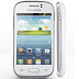 Spesifikasi dan Harga Samsung Galaxy Young S6310