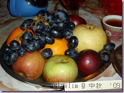P1010654