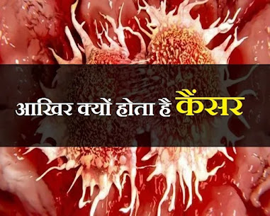 different types of cancer, symptoms, treatment options, risk factors, and prevention measures.