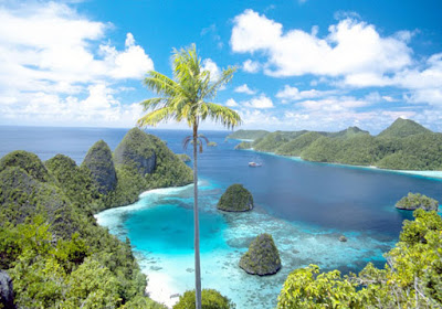 Raja Ampat Pulau Terindah di Papua yang merupakan salah satu tujuan wisata yang paling banyak dikunjungi wisatawan yang terletak di Papua