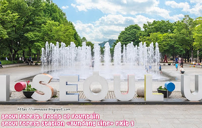 I Seoul U Seoul Forest