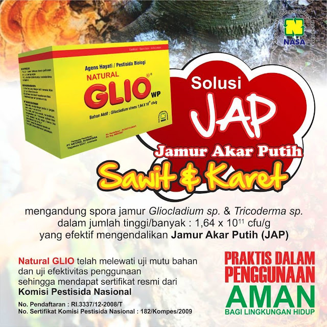 Natural Glio (Gliocladium) - Solusi Mengatasi Jamur Akar Putih Pada Sawit dan Karet