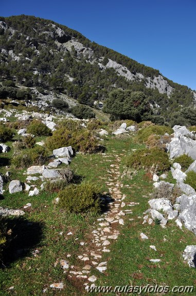 Calzada de Villaluenga a Grazalema