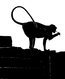 monkey silhouette