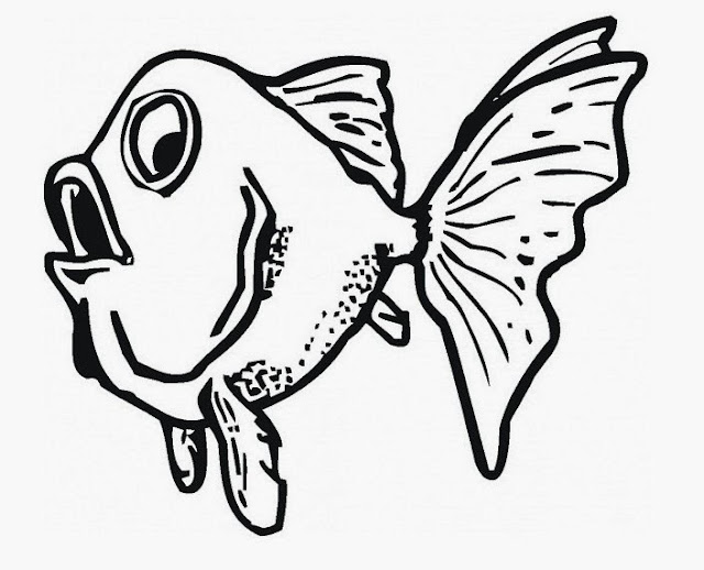 Cute Best Fish Drawing HD Wallpaper Free