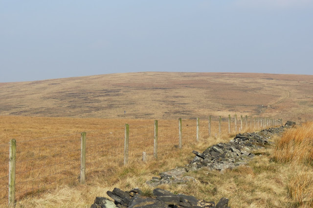 A line of fence cutting across the moors, with the expanse of White Hill lying across the horizon.