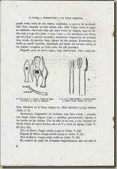 pag.6