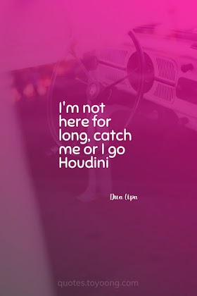 Dua Lipa - Houdini: I'm not here for long, catch me or I go Houdini | Song Quotes