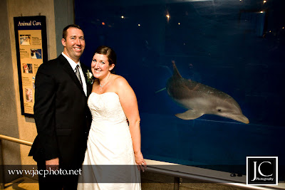 Chicago Wedding Photography on Chicago Brookfield Zoo Wedding Photography   Chicago Wedding And