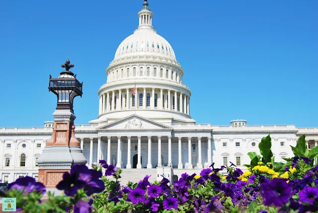 El Capitolio en Washington