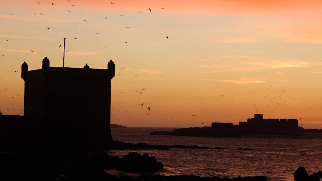 essential things to do in Essaouira
