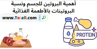 أهمية البروتين للجسم ونسبة البروتينات بالأطعمة الغذائية