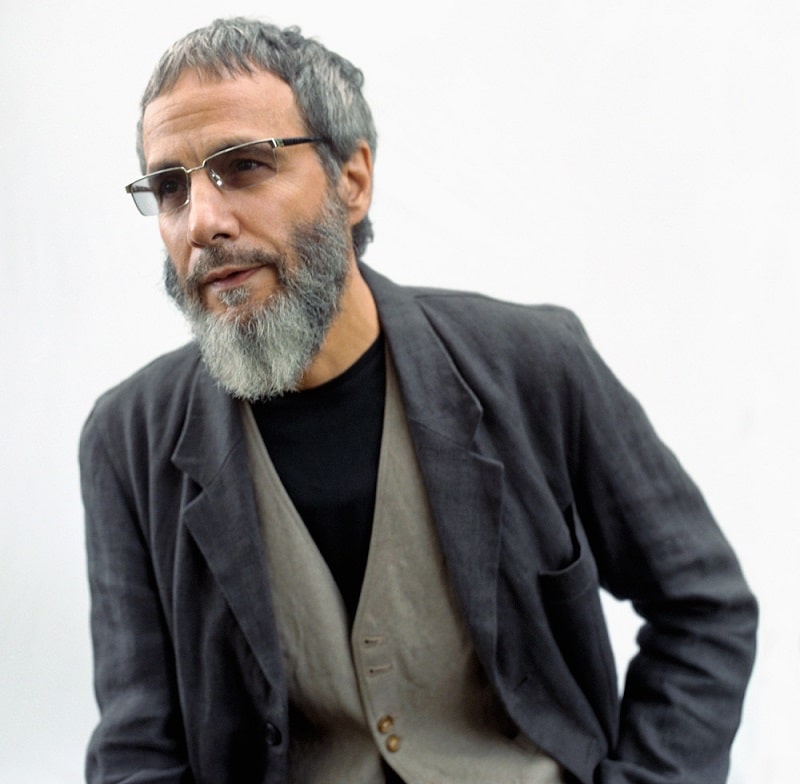 cat stevens