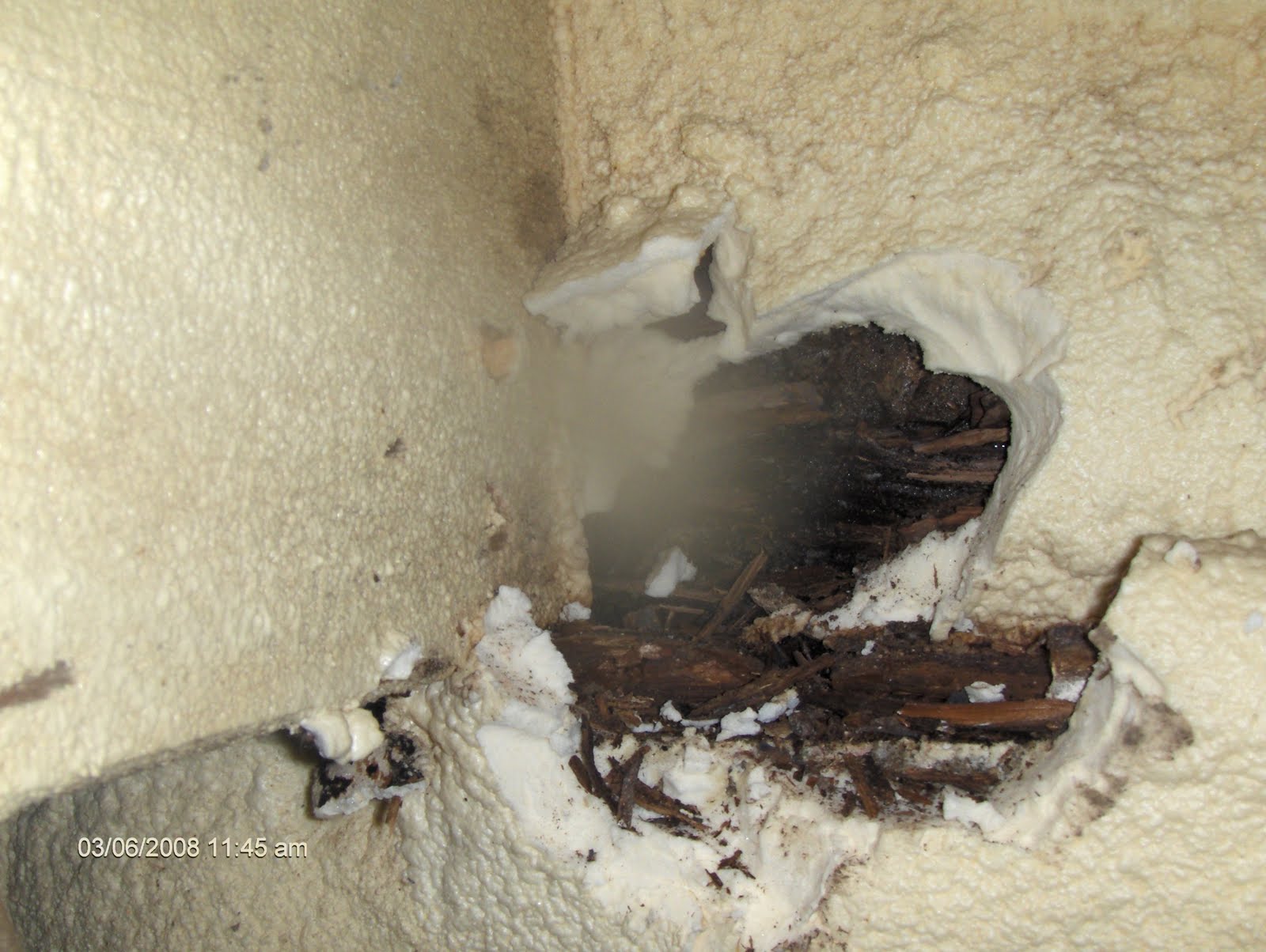 American Basement Solutions: Do not spray foam your ...
