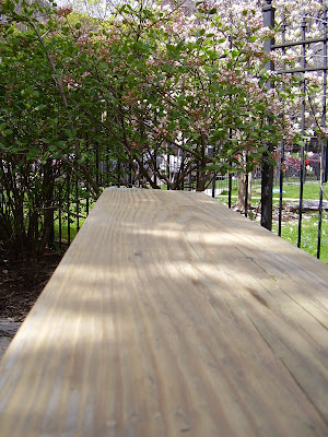 A newly sanded bench in the front garden