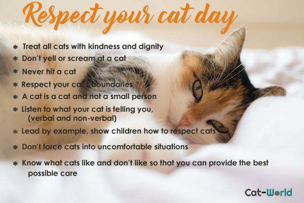 Respect Your Cat Day Wishes pics free download