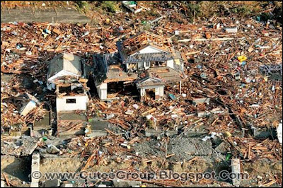 Earthquake Tsunami - Japan