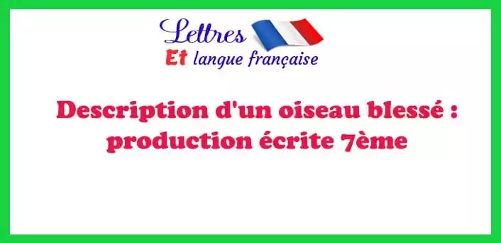 Description d'un oiseau blessé : production écrite 7ème