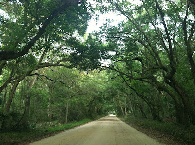 Edisto Island, SC | The Lowcountry Lady
