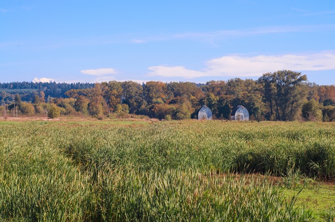 FallColors