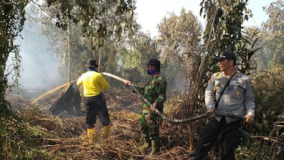Bakar Hutan untuk Buka Kebun Sawit, Warga Riau Ditangkap