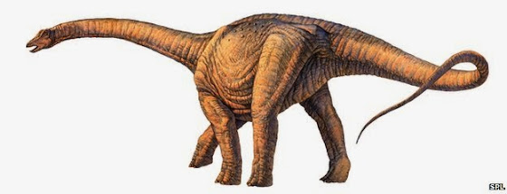 Βρέθηκε ο μεγαλύτερος δεινόσαυρος που υπήρξε ποτέ!