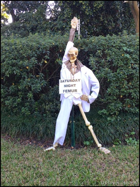 femur