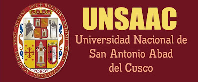 UNSAAC 2010