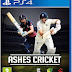 Ashes Cricket 17 Free Download PC Game- CODEX