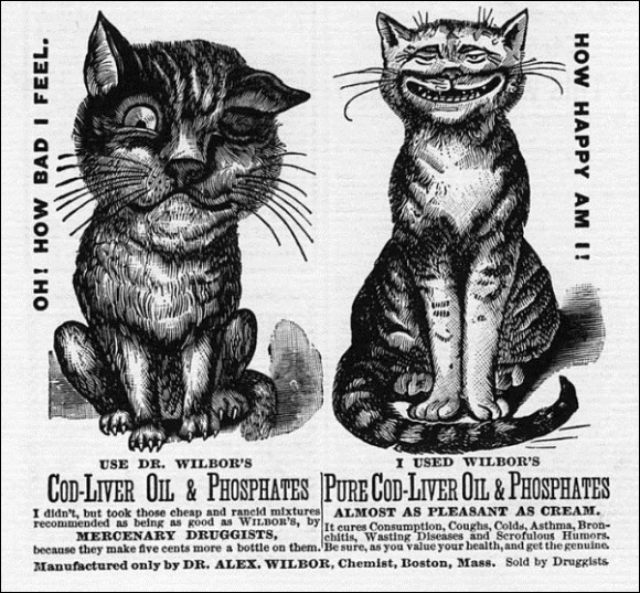 Vintage-Cat-Advertisements-18